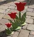 Truhe - Tulpen