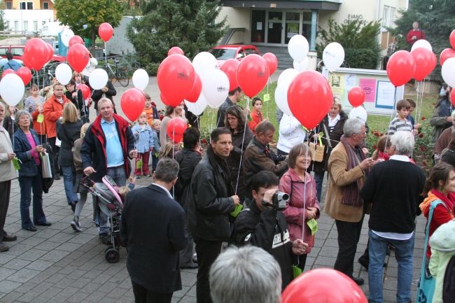 Bildergalerie 2009