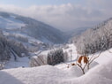 Wintersportwochenende in Belchenh&ouml;fe