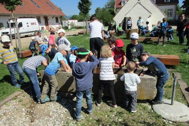 Marienkäfer und Entdecker