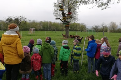 Ferienspaß - Leben auf dem Bauernhof