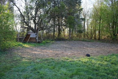 Ferienspaß Pfingsten: Abenteuer-Holz-Bauen