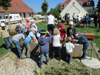 Marienkäfer und Entdecker