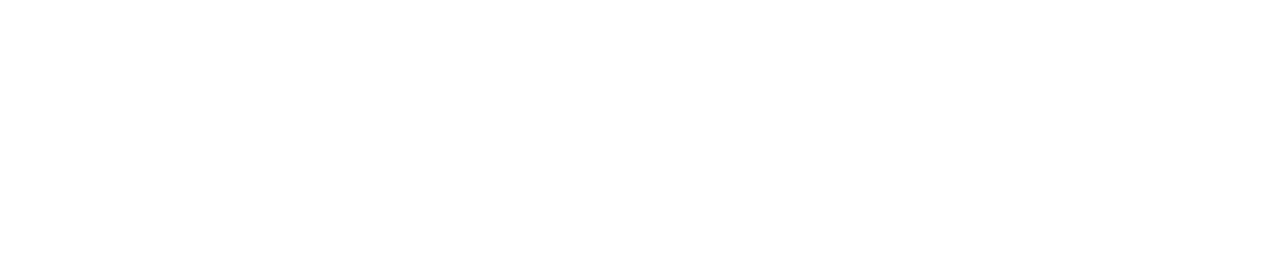MAXX Logo