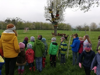 Ferienspaß - Leben auf dem Bauernhof