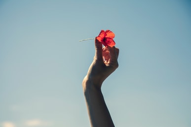 Ladies-Day: This is quite beautiful
