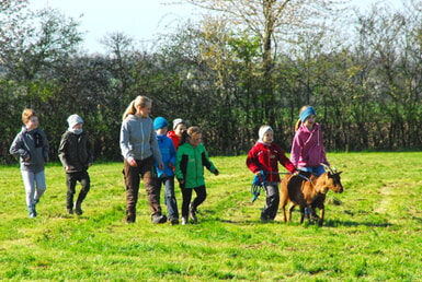 Ferienspaß - Leben auf dem Bauernhof